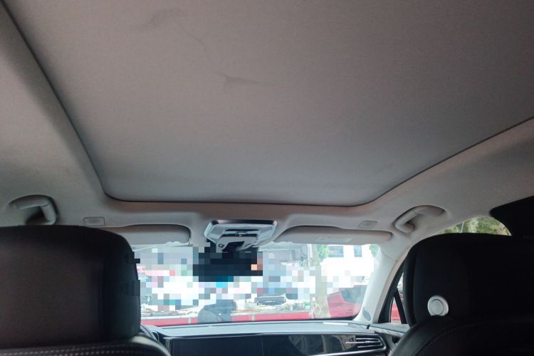 Used Hongqi H9 2020 2.0T Smart Connect Flagship Edition Headliner