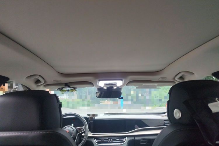 Used Hongqi H9 2020 2.0T Smart Connect Flagship Edition Headliner