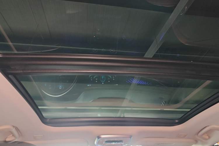 Used Hongqi H9 2020 2.0T Smart Connect Flagship Edition Headliner
