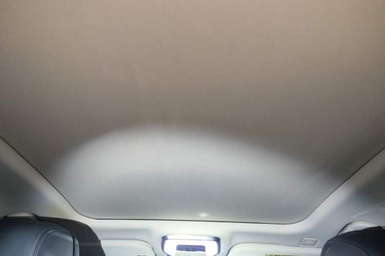 Used Hongqi H9 2020 2.0T Smart Connect Flagship Edition Headliner