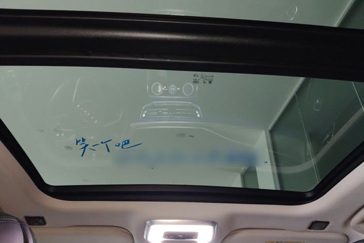 Used Hongqi H9 2020 2.0T Smart Connect Flagship Edition Headliner