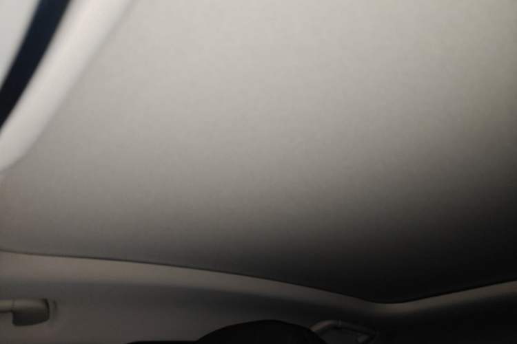 Used Hongqi H9 2020 2.0T Smart Connect Flagship Edition Headliner