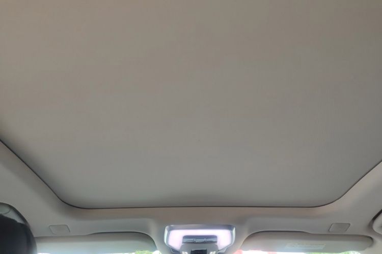 Used Hongqi H9 2020 2.0T Smart Connect Flagship Edition Headliner