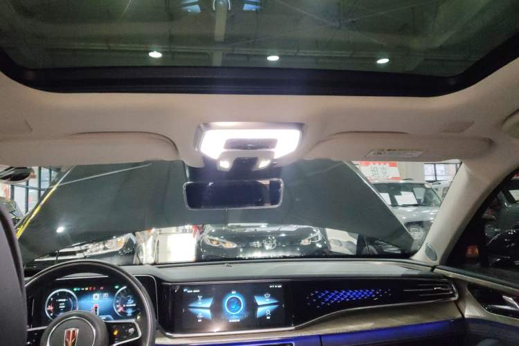 Used Hongqi H9 2020 3.0T Smart Connect Flagship Edition Headliner