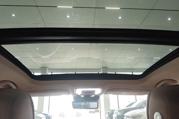 Used Hongqi H9 2020 2.0T Smart Connect Flagship Edition Headliner
