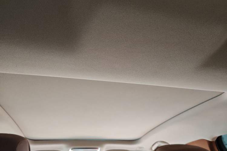 Used Hongqi H9 2020 2.0T Smart Connect Flagship Edition Headliner