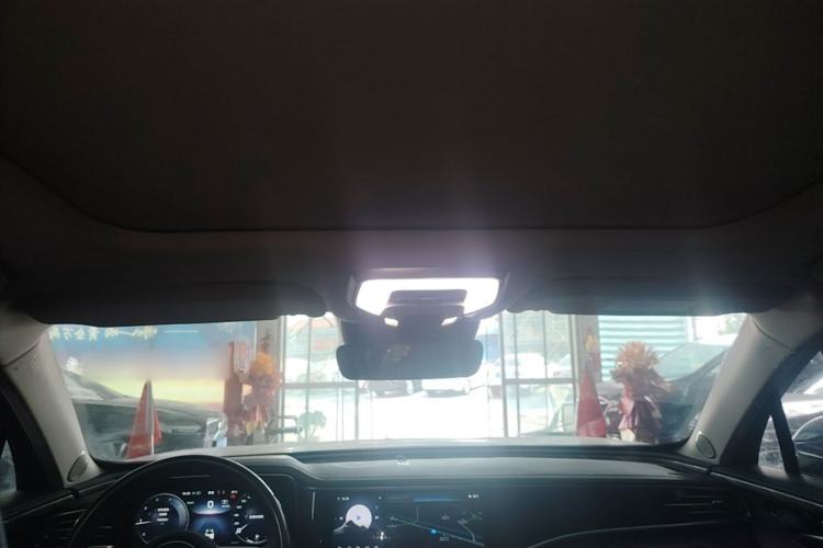 Used Hongqi H9 2020 2.0T Smart Connect Flagship Edition Headliner