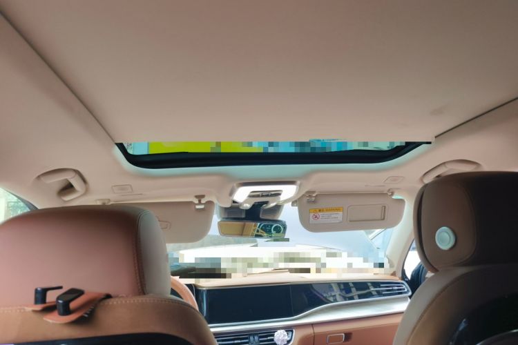 Used Hongqi H9 2020 2.0T Smart Connect Flagship Edition Headliner