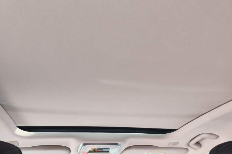 Used Hongqi H9 2020 2.0T Smart Connect Flagship Edition Headliner