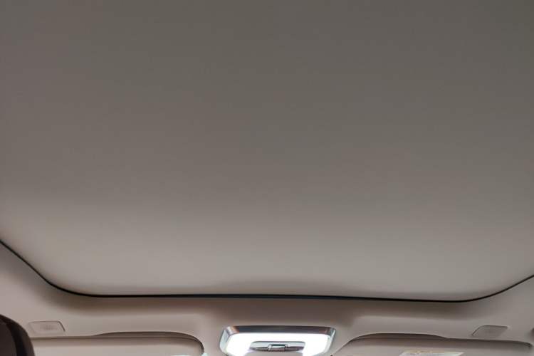 Used Hongqi H9 2020 2.0T Smart Connect Flagship Edition Headliner