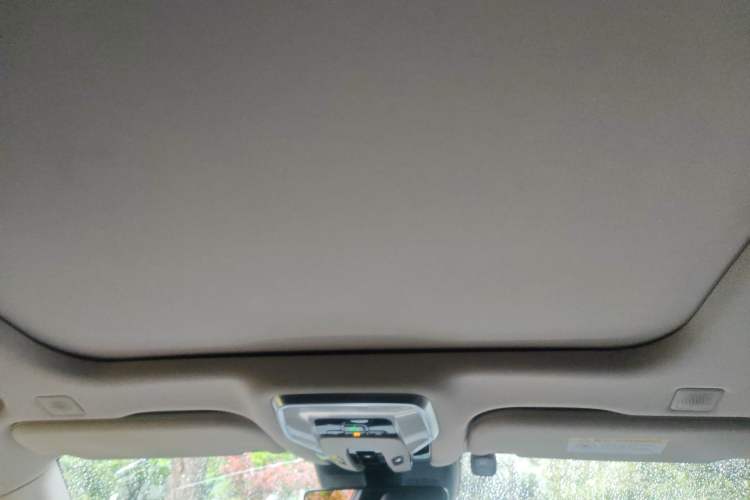 Used Hongqi H9 2020 2.0T Smart Connect Flagship Edition Headliner