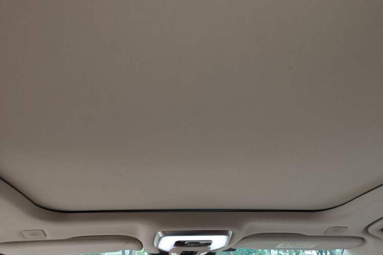 Used Hongqi H9 2020 2.0T Smart Connect Flagship Edition Headliner
