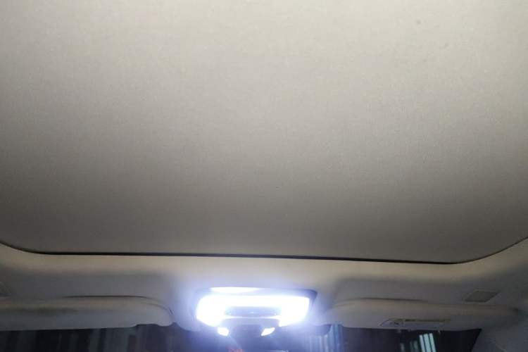 Used Hongqi H9 2020 2.0T Smart Connect Flagship Edition Headliner