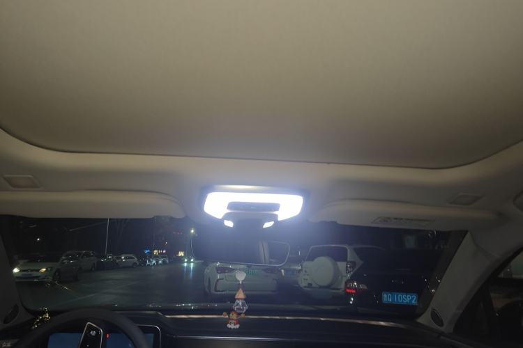 Used Hongqi H9 2020 2.0T Smart Connect Flagship Edition Headliner