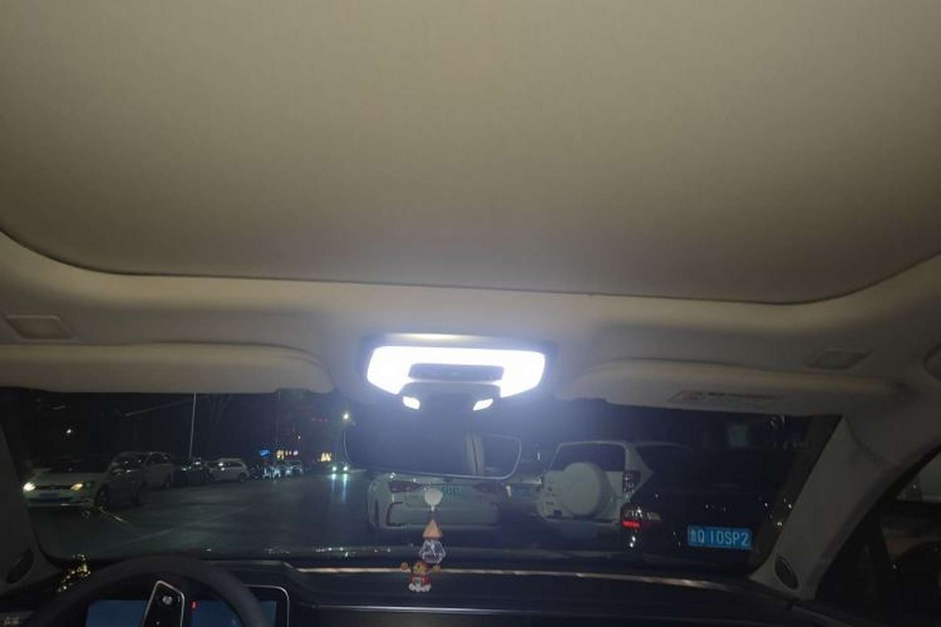 Used Hongqi H9 2020 2.0T Smart Connect Flagship Edition Headliner