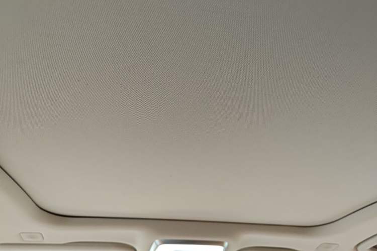 Used Hongqi H9 2020 2.0T Smart Connect Flagship Edition Headliner