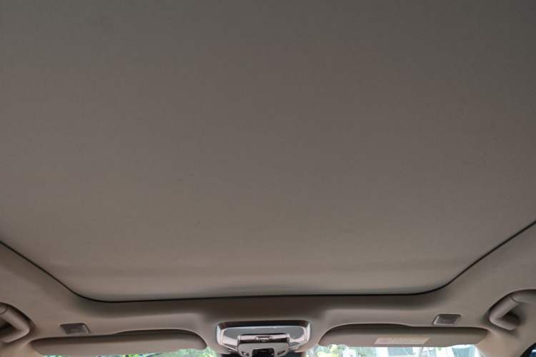 Used Hongqi H9 2020 2.0T Smart Connect Flagship Edition Headliner