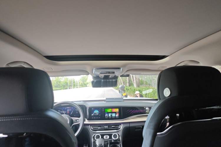 Used Hongqi H9 2020 3.0T Smart Connect Flagship Edition Headliner