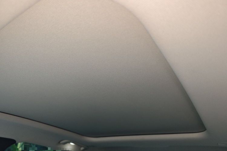 Used Hongqi H9 2020 2.0T Smart Connect Flagship Edition Headliner