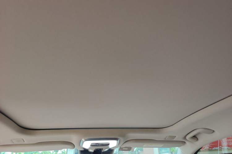 Used Hongqi H9 2020 2.0T Smart Connect Flagship Edition Headliner