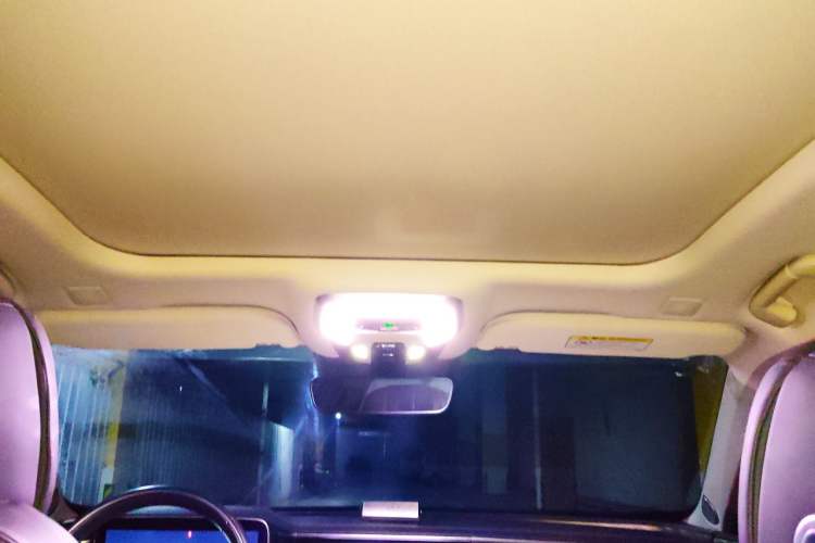 Used Hongqi H9 2020 2.0T Smart Connect Flagship Edition Headliner