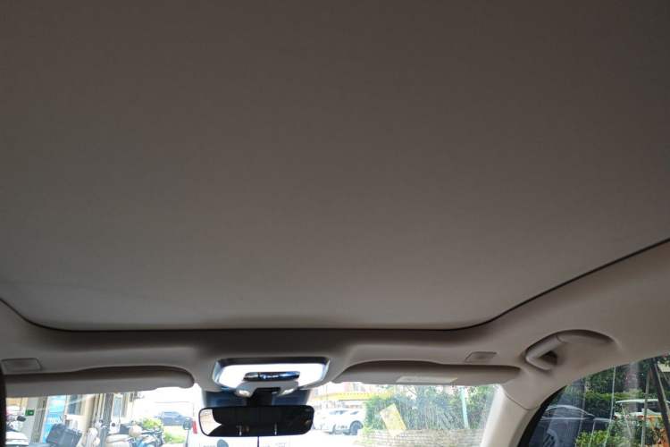 Used Hongqi H9 2020 2.0T Smart Connect Flagship Edition Headliner