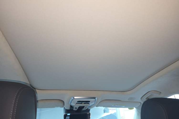 Used Hongqi H9 2020 3.0T Smart Connect Flagship Four-Seat Version Headliner