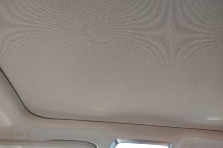 Used Hongqi H9 2020 2.0T Smart Connect Flagship Edition Headliner