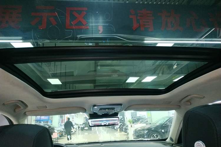 Used Hongqi H9 2020 3.0T Smart Connect Flagship Four-Seat Version Headliner