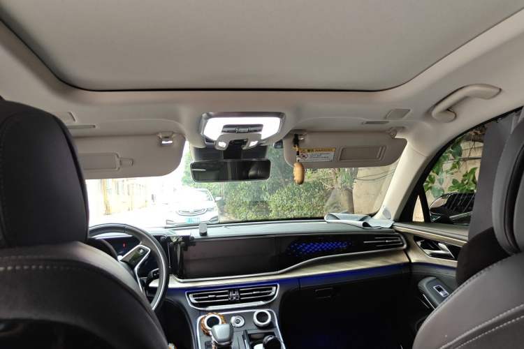 Used Hongqi H9 2020 2.0T Smart Connect Flagship Edition Headliner