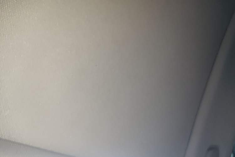 Used Hongqi H9 2020 3.0T Smart Connect Flagship Edition Headliner