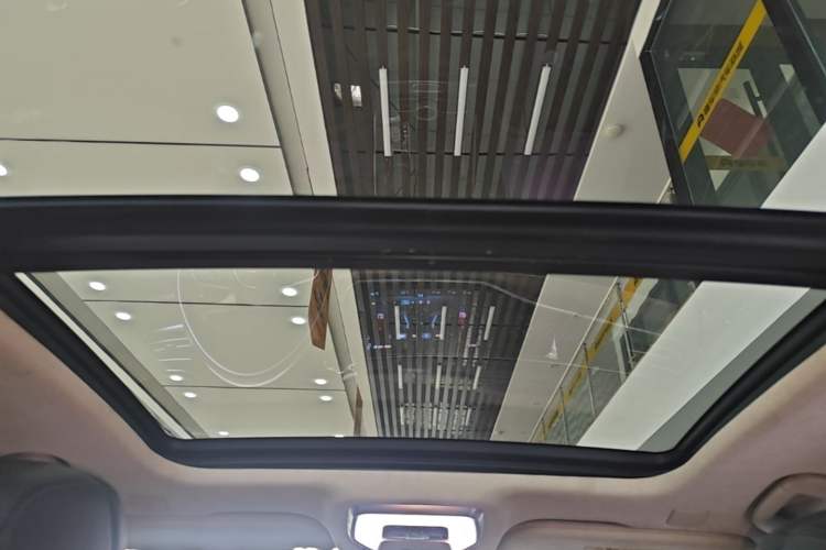 Used Hongqi H9 2020 3.0T Smart Connect Flagship Four-Seat Version Headliner