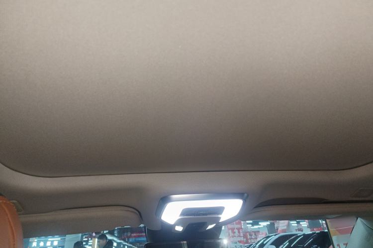 Used Hongqi H9 2020 2.0T Smart Connect Flagship Edition Headliner