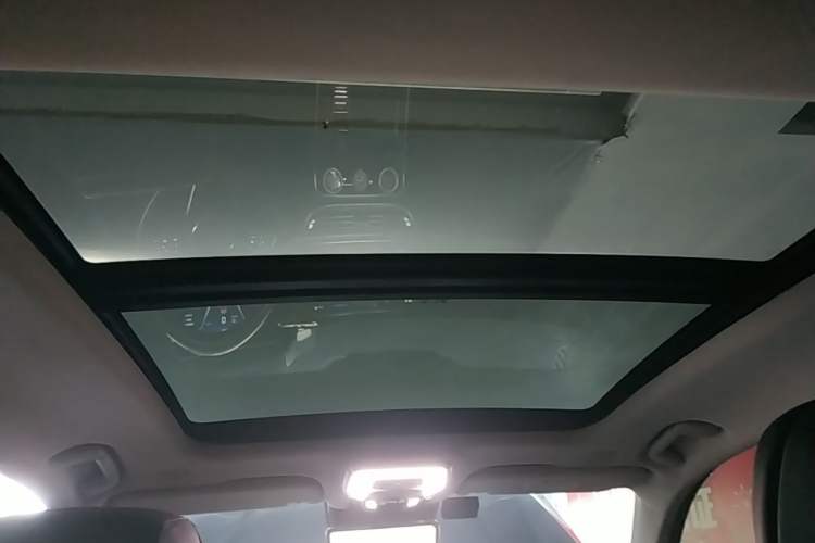Used Hongqi H9 2020 2.0T Smart Connect Flagship Edition Headliner