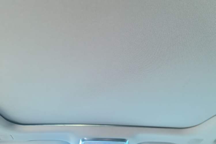 Used Hongqi H9 2020 2.0T Smart Connect Flagship Edition Headliner
