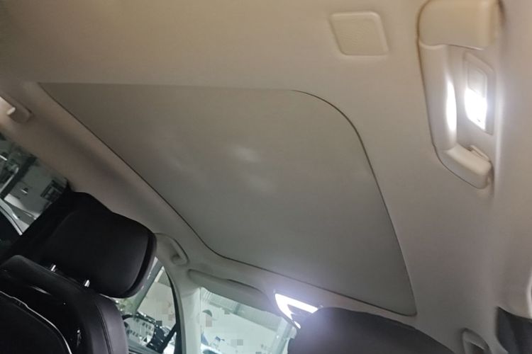 Used Hongqi H9 2020 2.0T Smart Connect Flagship Edition Headliner