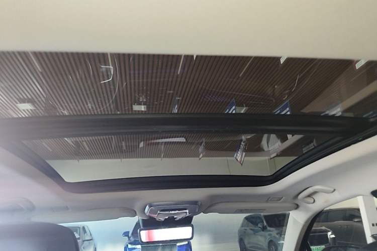 Used Hongqi H9 2020 3.0T Smart Connect Flagship Edition Headliner
