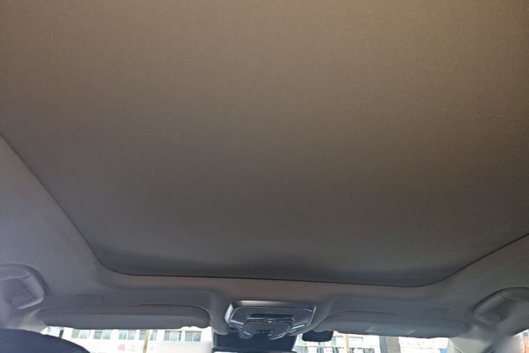 Used Hongqi H9 2020 2.0T Smart Connect Flagship Edition Headliner
