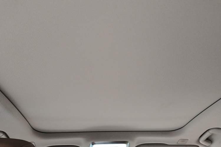 Used Hongqi H9 2020 2.0T Smart Connect Flagship Edition Headliner