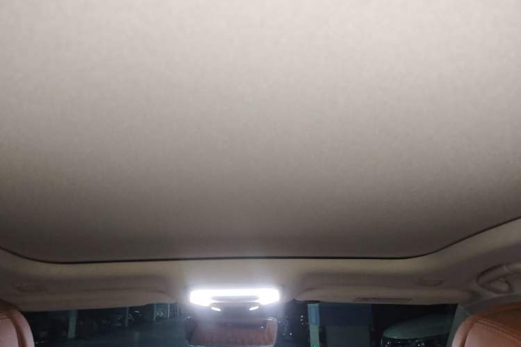 Used Hongqi H9 2020 2.0T Smart Connect Flagship Edition Headliner