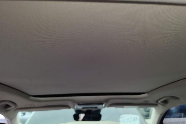 Used Hongqi H9 2020 2.0T Smart Connect Flagship Edition Headliner