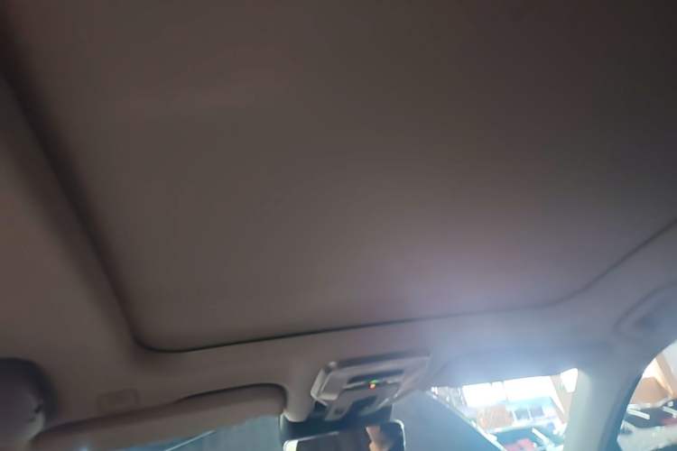 Used Hongqi H9 2020 2.0T Smart Connect Flagship Edition Headliner