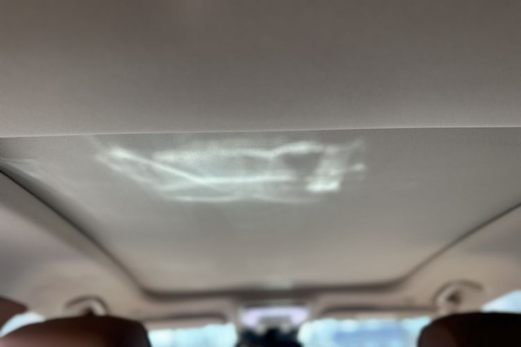 Used Hongqi H9 2020 2.0T Smart Connect Flagship Edition Headliner