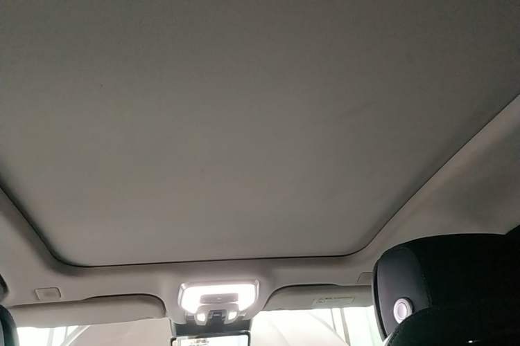 Used Hongqi H9 2020 2.0T Smart Connect Flagship Edition Headliner