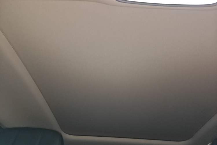 Used Hongqi H9 2020 3.0T Smart Connect Flagship Edition Headliner