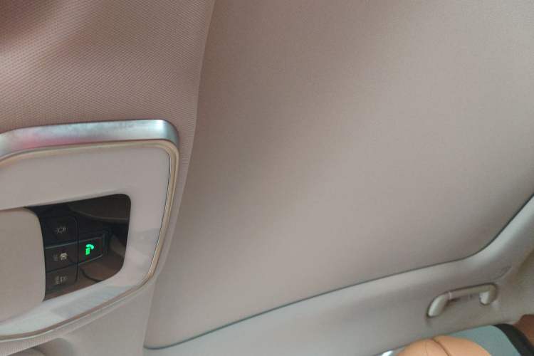 Used Hongqi H9 2020 2.0T Smart Connect Flagship Edition Headliner
