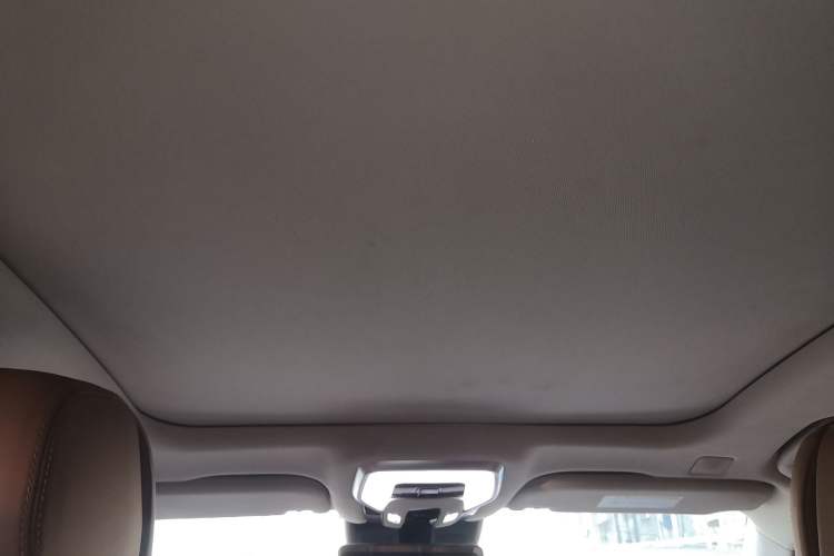 Used Hongqi H9 2020 2.0T Smart Connect Flagship Edition Headliner