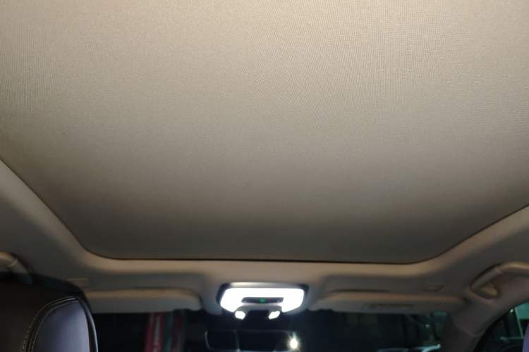 Used Hongqi H9 2020 2.0T Smart Connect Flagship Edition Headliner