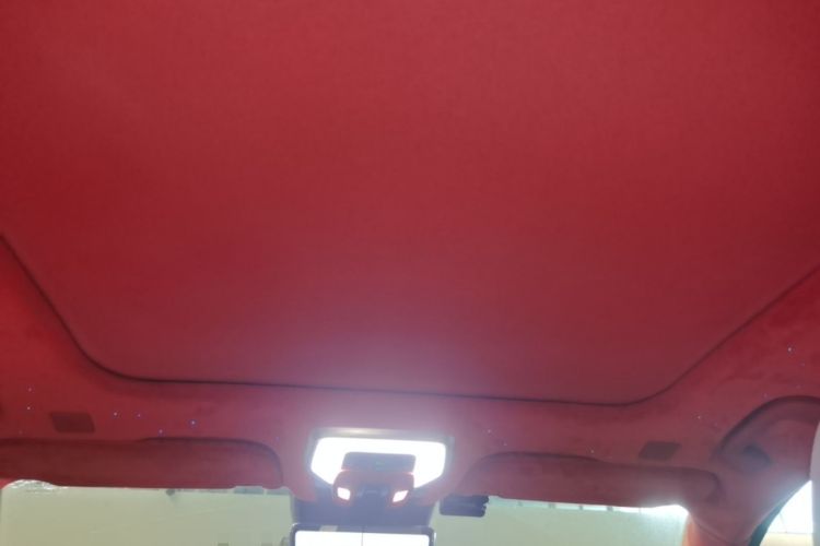 Used Hongqi H9 2020 2.0T Smart Connect Flagship Edition Headliner