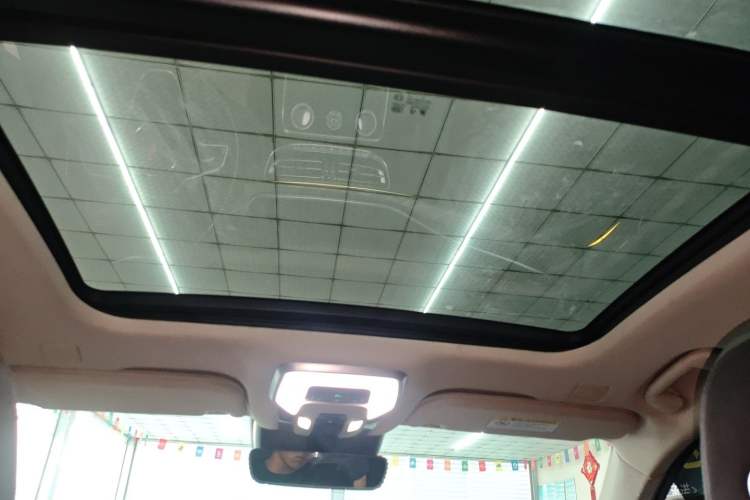 Used Hongqi H9 2020 2.0T Smart Connect Flagship Edition Headliner